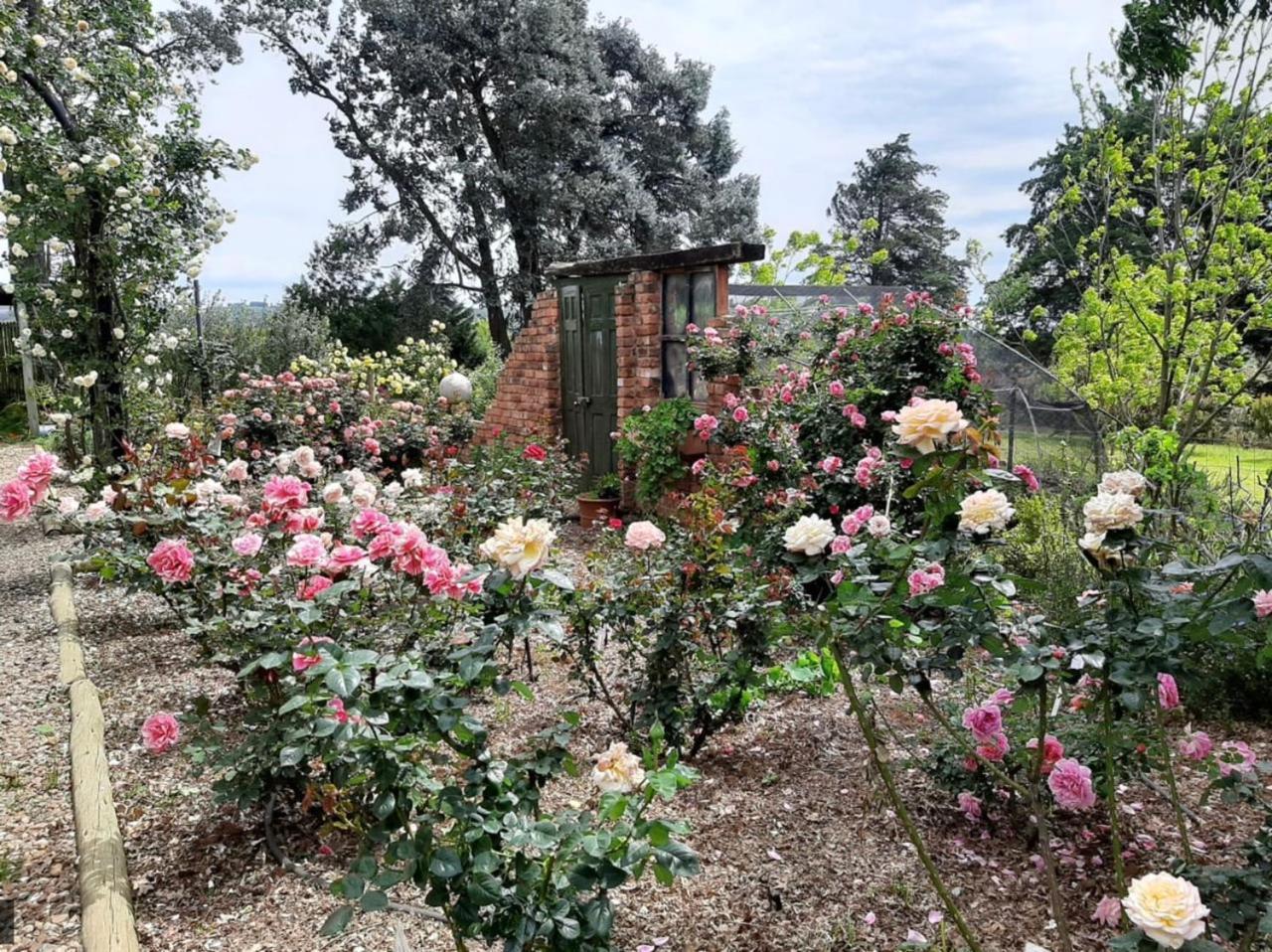 Ama Casa Cottages Champagne Valley 외부 사진